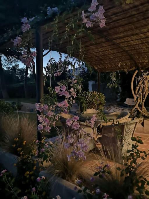 Villa Casita De La Higuera Jávea Exterior foto